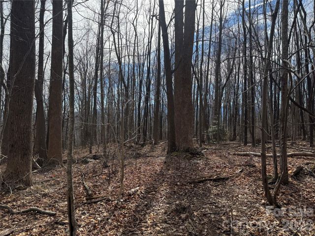 99999 Chesterfield Drive 179, Mill Spring, NC 28756