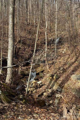 99999 Chesterfield Drive 179, Mill Spring, NC 28756