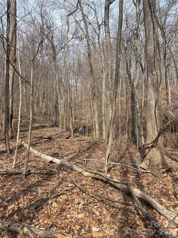 99999 Chesterfield Drive 179, Mill Spring, NC 28756