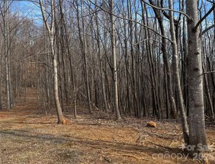 99999 Chesterfield Drive 179, Mill Spring, NC 28756