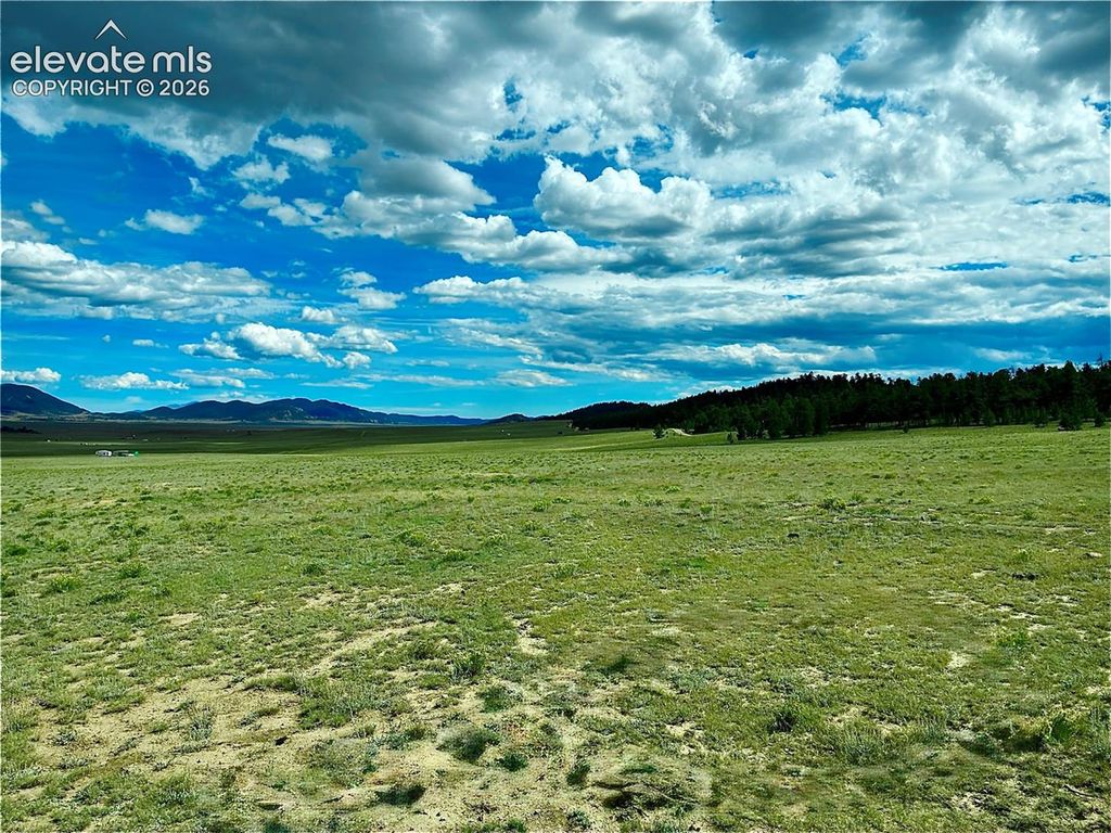 3984 Elkhorn Road, Hartsel, CO 80449 — photo 2