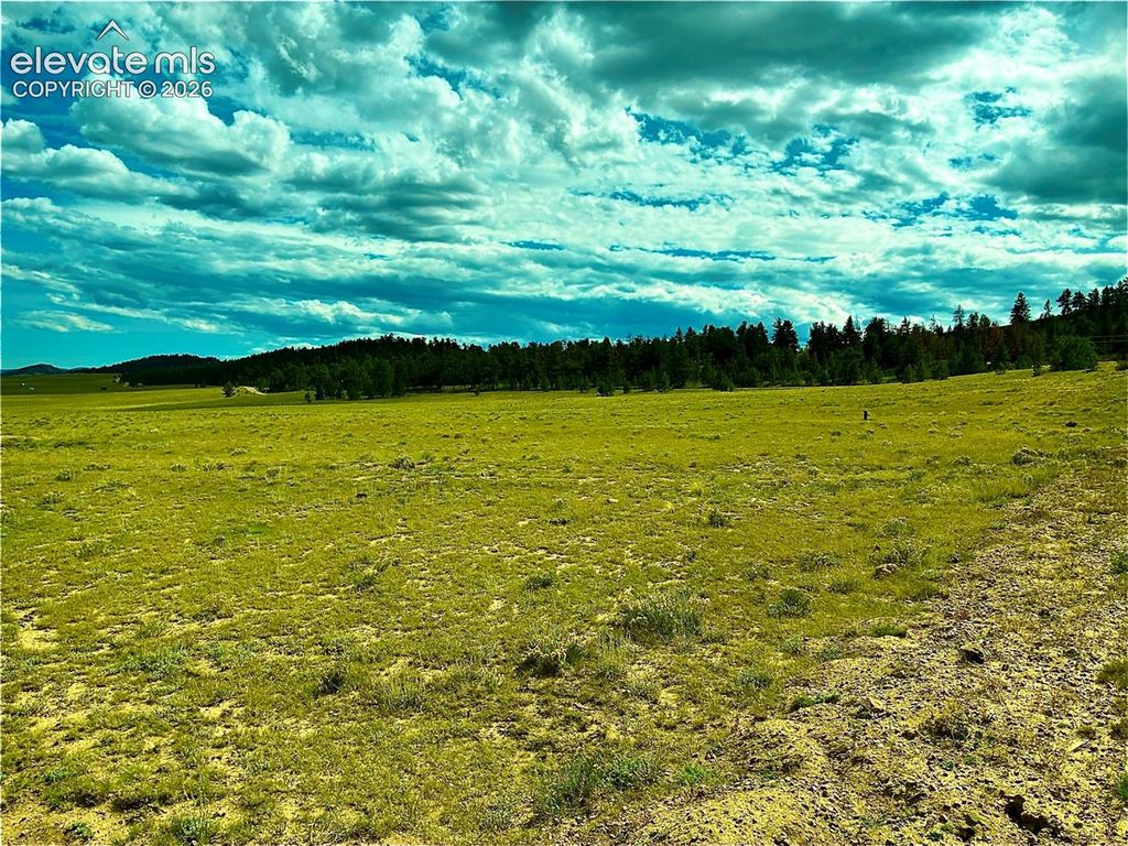 3984 Elkhorn Road, Hartsel, CO 80449 — photo 3