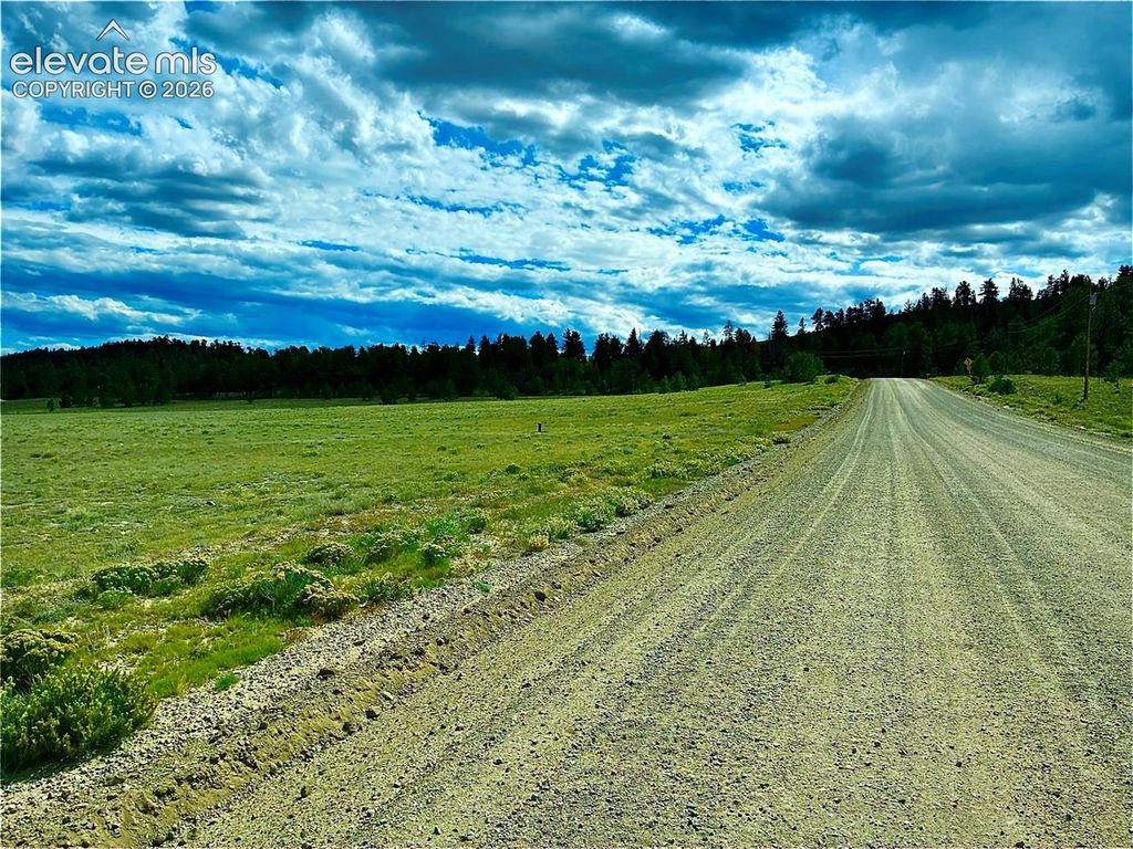 3984 Elkhorn Road, Hartsel, CO 80449 — photo 4