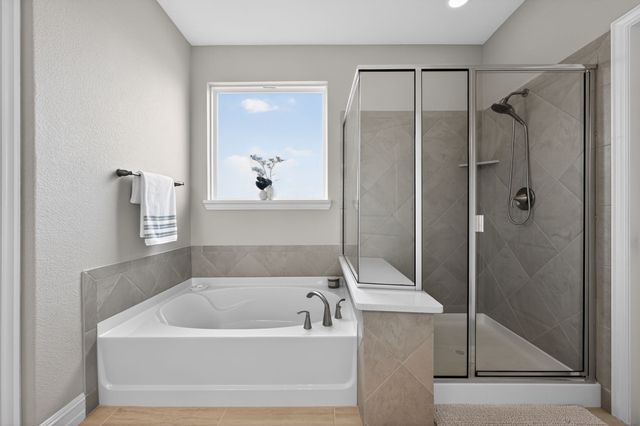 1245 Firework Drive, Little Elm, TX 76227