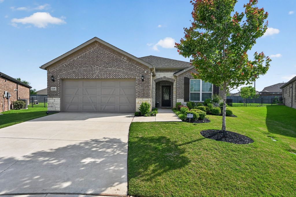 1245 Firework Drive, Little Elm, TX 76227