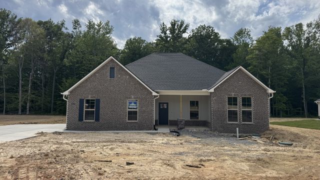 8663 Turnbull Dr, Pleasant View, TN 37146