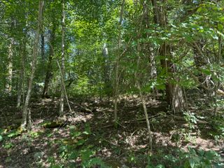 1590 Crooked Creek Road, Lawrenceburg, KY 40342