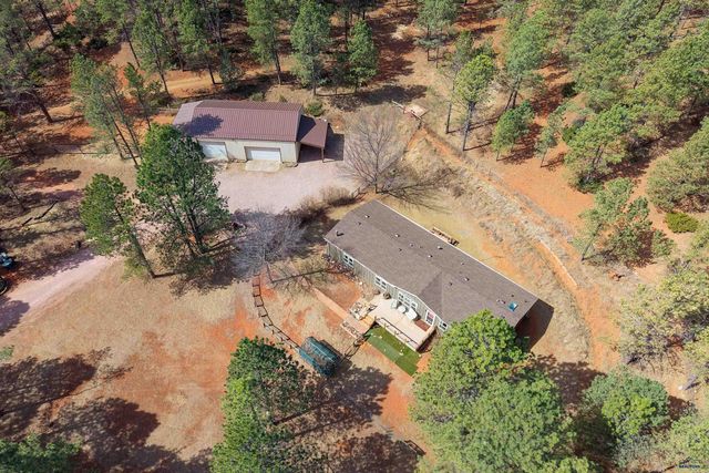 24535 EAST VIEW PL, Hermosa, SD 57744