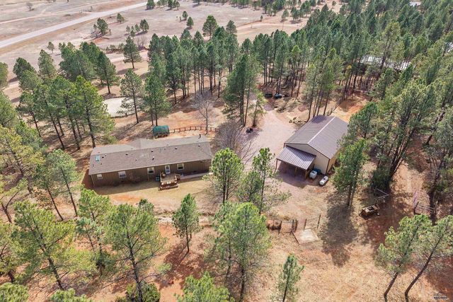 24535 EAST VIEW PL, Hermosa, SD 57744