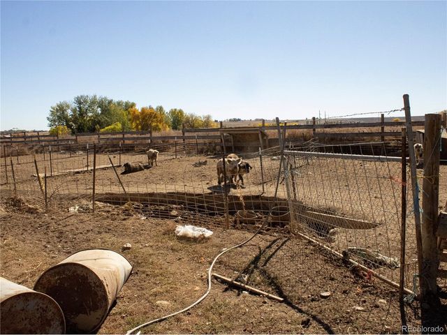 162 Farm Museum Ln, Loveland, CO 80537