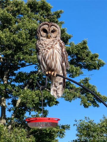 448 Howards Knob Road, Boone, NC 28607