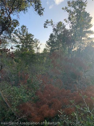 2851 W Seville Drive, Avon Park, FL 33825