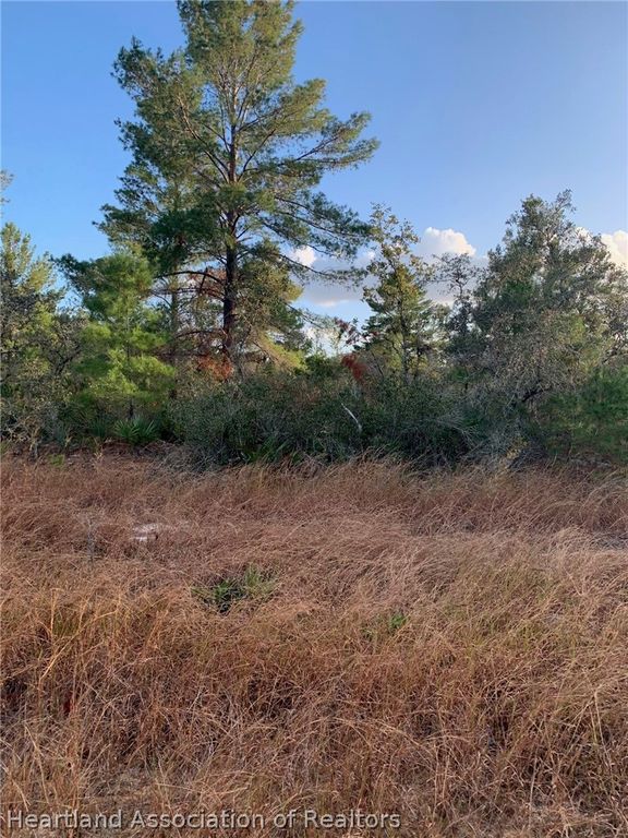 2851 W Seville Drive, Avon Park, FL 33825