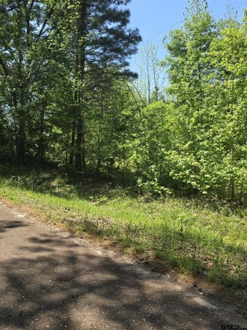 TBD C R 421, Tyler, TX 75704