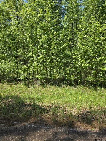 TBD C R 421, Tyler, TX 75704