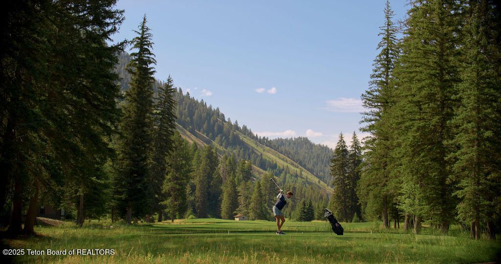 15505 & 15525 S. WAGON ROAD, Jackson, WY 83001 photo 2