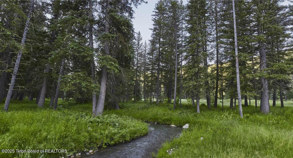 15505 & 15525 S. WAGON ROAD, Jackson, WY 83001 photo 3