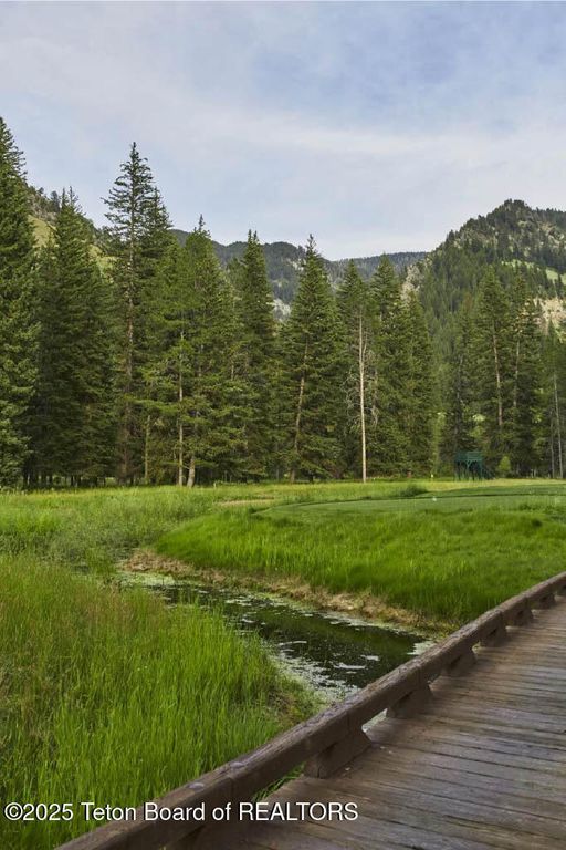 15505 & 15525 S. WAGON ROAD, Jackson, WY 83001 photo 4
