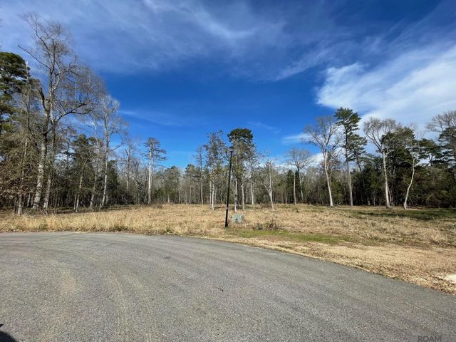 Lot 8 Ridgeway Ave, Denham Springs, LA 70726