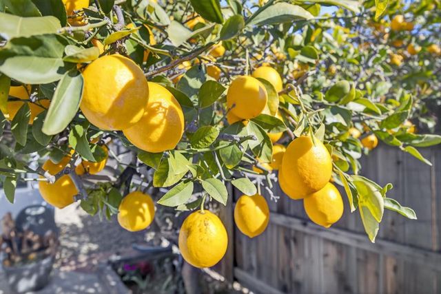 7988 Bothwell Dr, Sacramento, CA 95829