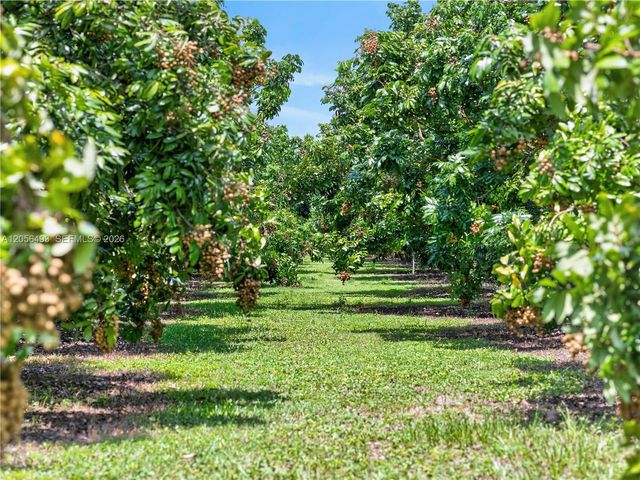 33800 SW 212th Avenue, Homestead, FL 33034