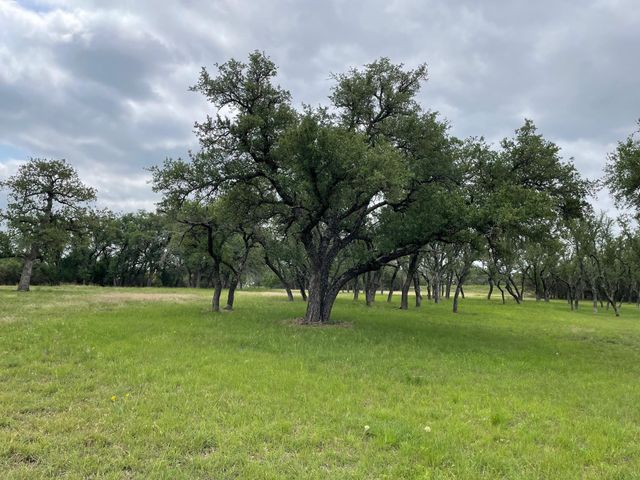 762 Morning Dew DR, Round Mountain, TX 78663