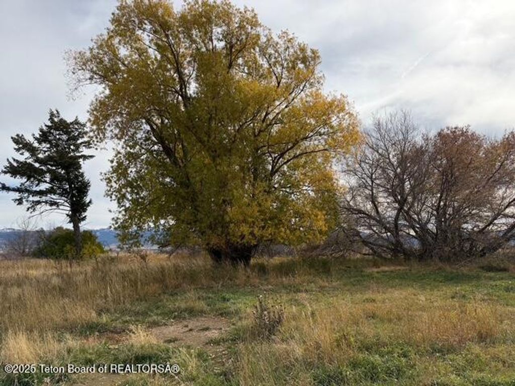 2255 S 5000 WEST, Driggs, ID 83422 photo 9