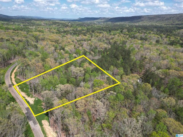 316 WINCHESTER PASS, Birmingham, AL 35242