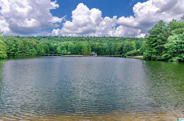 316 WINCHESTER PASS, Birmingham, AL 35242