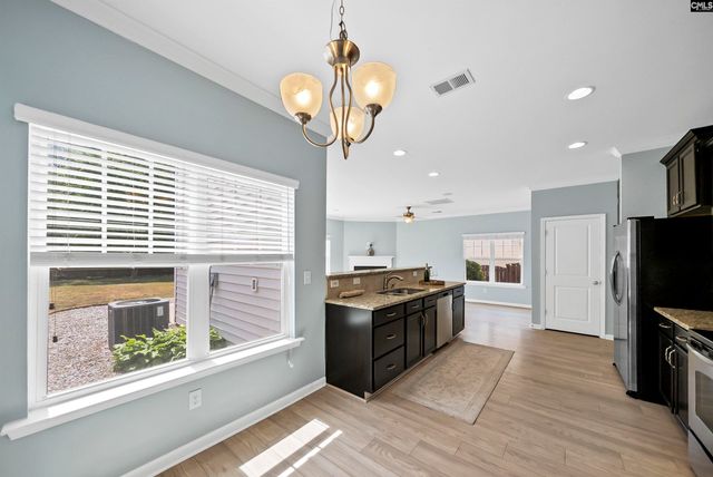 162 Wingspan Way, Chapin, SC 29036