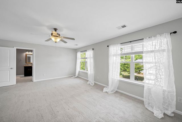 162 Wingspan Way, Chapin, SC 29036