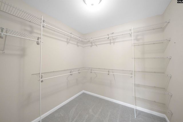 162 Wingspan Way, Chapin, SC 29036