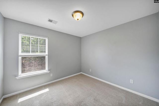 162 Wingspan Way, Chapin, SC 29036