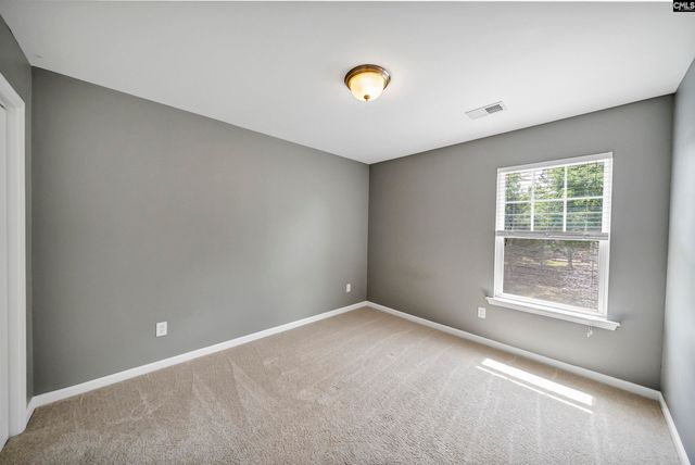 162 Wingspan Way, Chapin, SC 29036