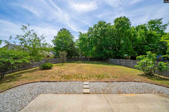 162 Wingspan Way, Chapin, SC 29036