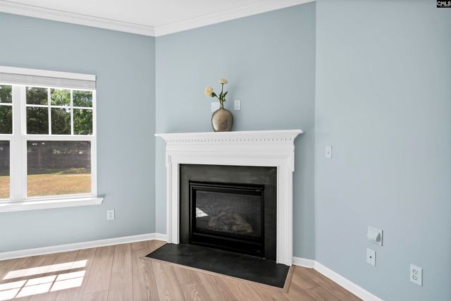 162 Wingspan Way, Chapin, SC 29036