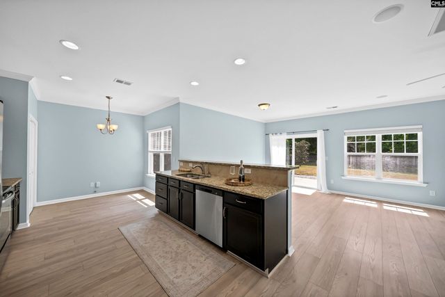 162 Wingspan Way, Chapin, SC 29036