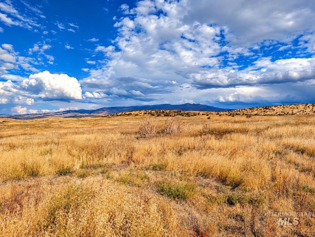 1318 Hwy 95, Mesa, ID 83643 photo 3