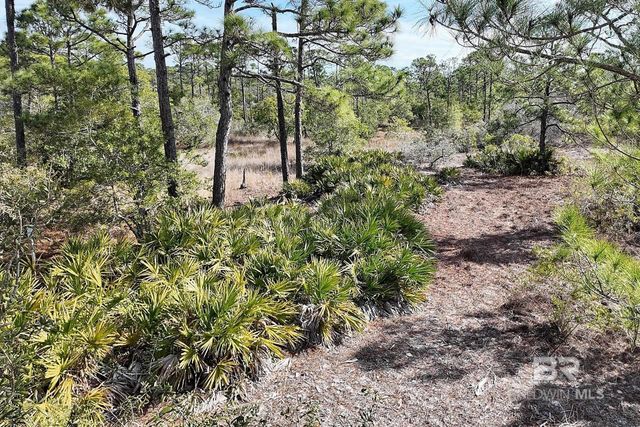 9351 Caravelle Lane, Gulf Shores, AL 36542