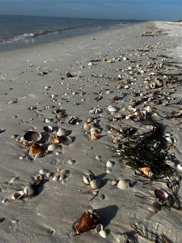 880 MANDALAY AVENUE S205, Clearwater Beach, FL 33767