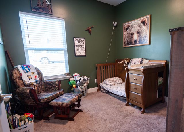 194 Norman Creek Rd, Evensville, TN 37332