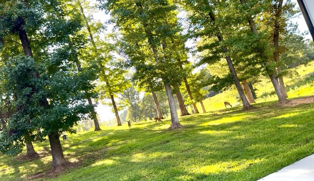 835 Edgewater Way, Jasper, TN 37347