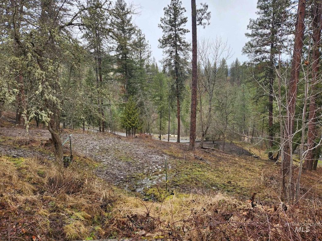 TBD Elwood St Parcel B, Peck, ID 83545