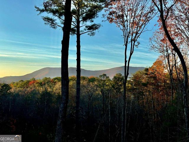 361 Rising Star Road, Ellijay, GA 30536