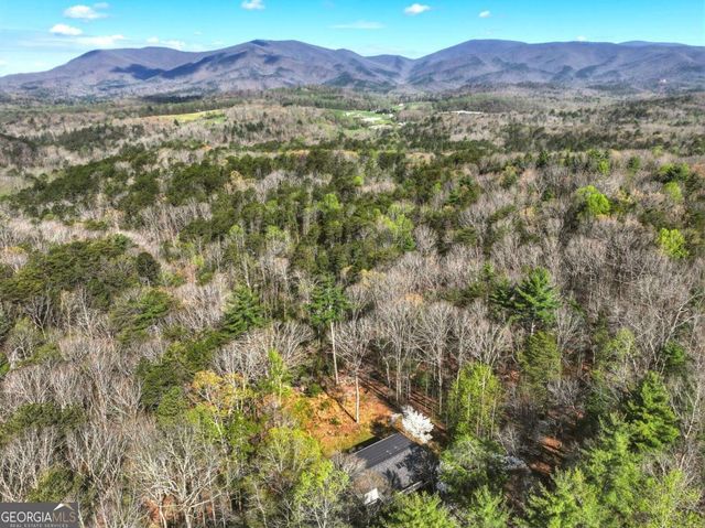 361 Rising Star Road, Ellijay, GA 30536