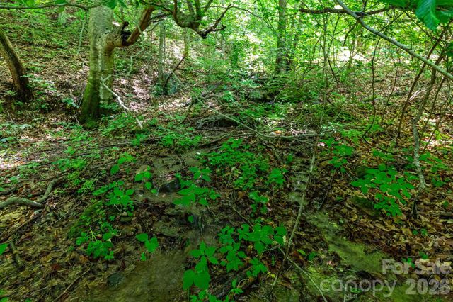 329 N Fork Road, Barnardsville, NC 28709