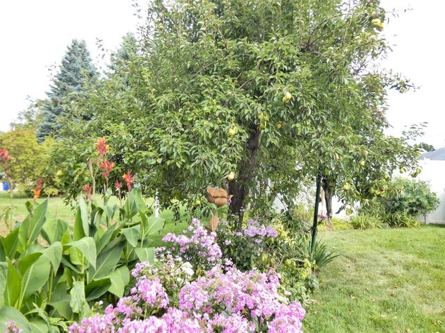 512 W MICHIGAN STREET, Appleton, WI 54911