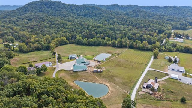 4445 Pine Grove Road, Means, KY 40346