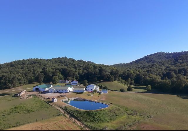 4445 Pine Grove Road, Means, KY 40346