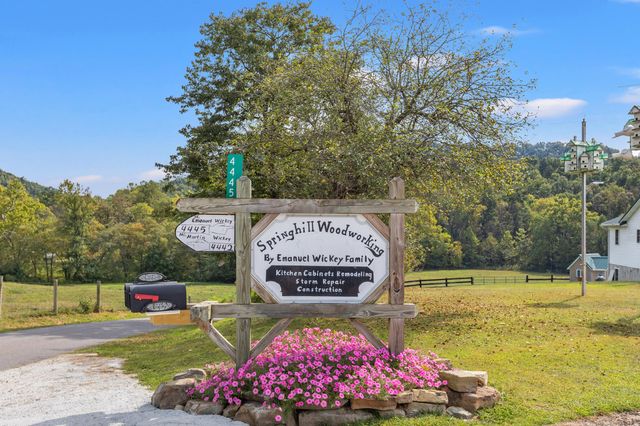 4445 Pine Grove Road, Means, KY 40346